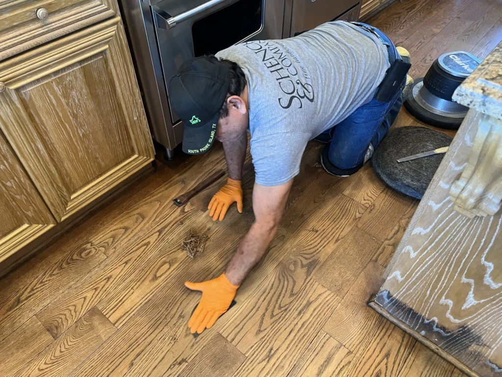 Cleaning Hardwood Floors