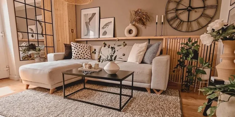 decoratoradvice com Review