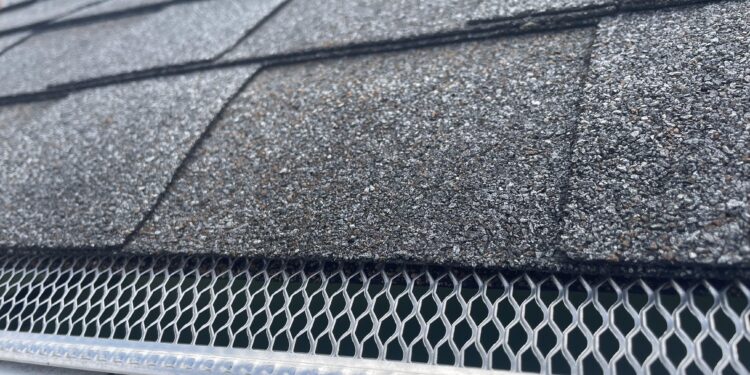Roof Repairs and Gutters
