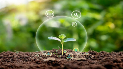 Sustainable Gardening