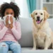 Pet Allergies at Home
