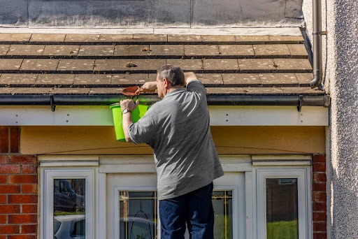 exterior cleaning and maintenance