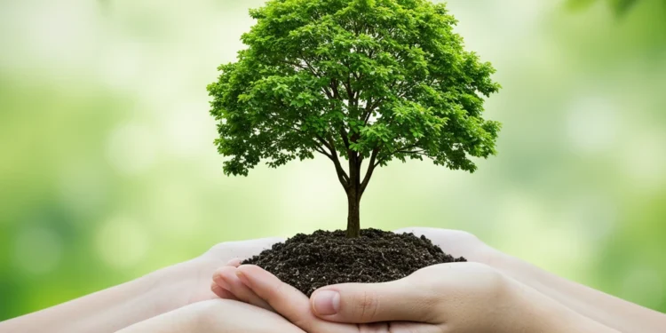 environmental protection