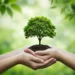 environmental protection