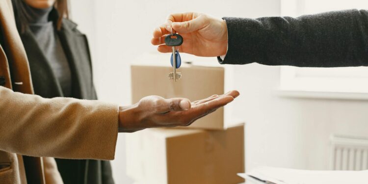 Creating a Healthier Living Space: Indoor Wellness Tips for Rental Homes
