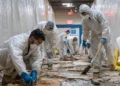 Asbestos Testing in Los Angeles