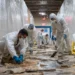 Asbestos Testing in Los Angeles