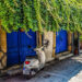 Rentals in Limassol