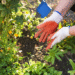 landscape maintenance guide