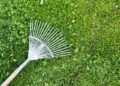 Your Lawn