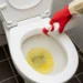 Toilet Trying to Tell You Something? Early Warning Signs of a Major Blockage