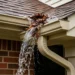 Gutter Replacements