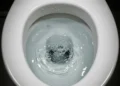 Downstairs Toilet Bubbles When Upstairs Is Flushed