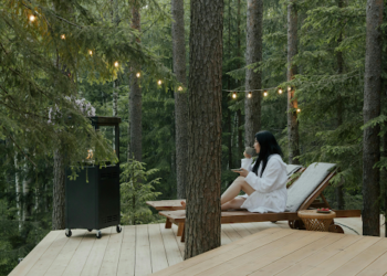 Dealing With Rot on Your Outdoor Structure