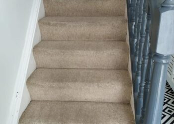 The Importance Of Regular Carpet cleaning