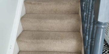The Importance Of Regular Carpet cleaning