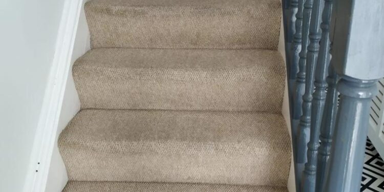 The Importance Of Regular Carpet cleaning