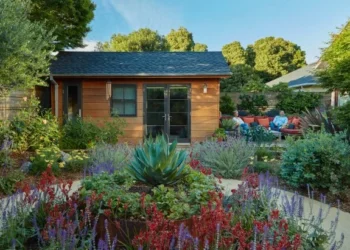 How to Create the Ultimate Backyard Oasis for Summer
