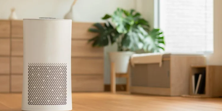 Why Regular Air Filter Changes Matter More Than Homeowners Think
