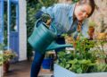 Seasonal Lawn Care Checklist: Essential Tools for Spring and Summer Maintenance