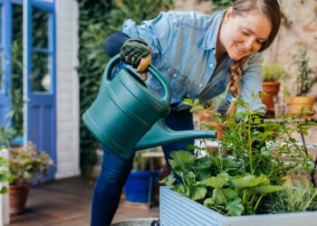 Seasonal Lawn Care Checklist: Essential Tools for Spring and Summer Maintenance