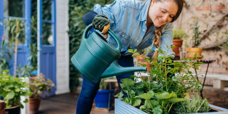 Seasonal Lawn Care Checklist: Essential Tools for Spring and Summer Maintenance