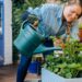 Seasonal Lawn Care Checklist: Essential Tools for Spring and Summer Maintenance